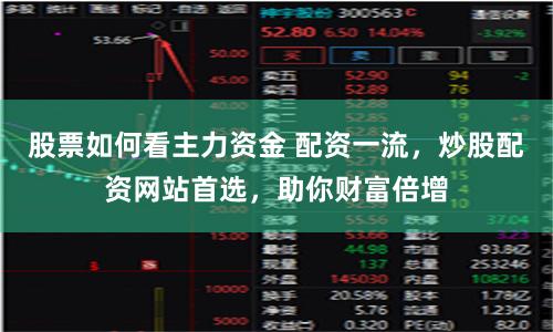 股票如何看主力资金 配资一流，炒股配资网站首选，助你财富倍增
